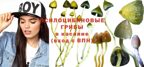 apvp Балабаново