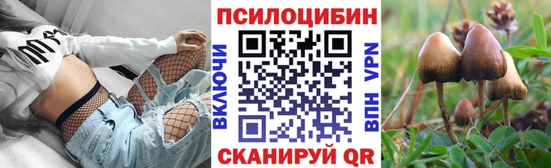 где купить   Гаврилов-Ям  Галлюциногенные грибы прущие грибы 